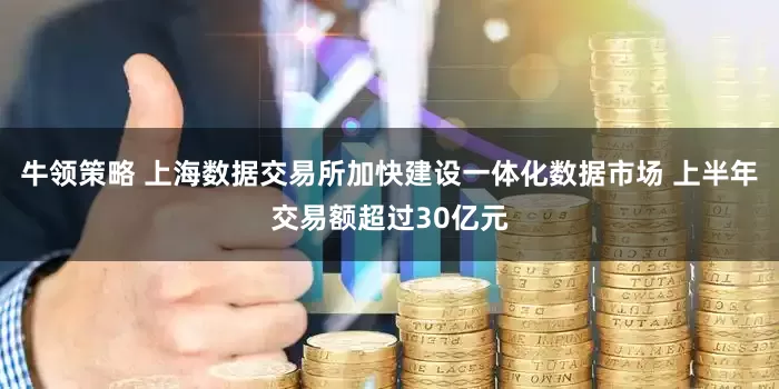 牛领策略 上海数据交易所加快建设一体化数据市场 上半年交易额超过30亿元