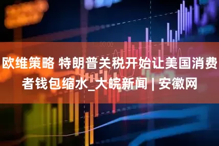欧维策略 特朗普关税开始让美国消费者钱包缩水_大皖新闻 | 安徽网