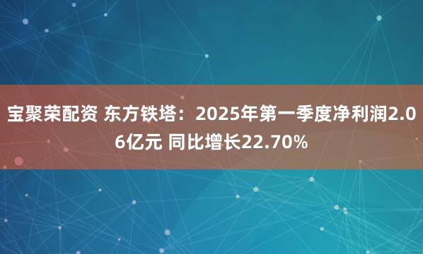 宝聚荣配资 东方铁塔：2025年第一季度净利润2.06亿元 同比增长22.70%