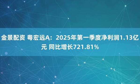 金景配资 粤宏远A：2025年第一季度净利润1.13亿元 同比增长721.81%
