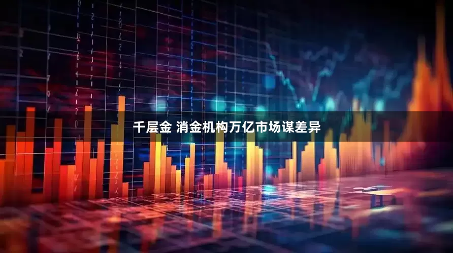 千层金 消金机构万亿市场谋差异