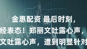 金惠配资 最后时刻，洪秀柱已经表态！郑丽文吐露心声，遭到明显针对